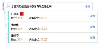 合肥鸿明信息技术咨询有限责任公司 专业信息技术咨询服务的引领者