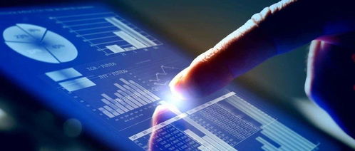 杨德龙 上半年我国经济探底回升，下半年有望继续复苏，信息技术咨询服务前景广阔